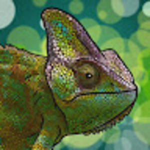 Meet your Posher, Timothy